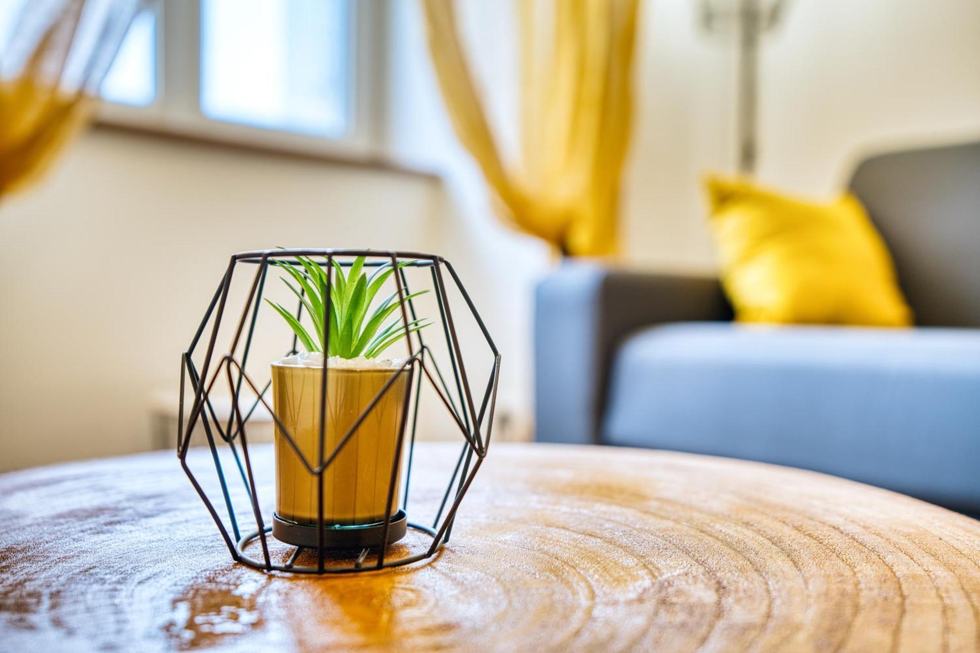 Les Hourtous Netflix Wi-Fi Fibre Terasse 4 Pers Apartment Banassac Ngoại thất bức ảnh