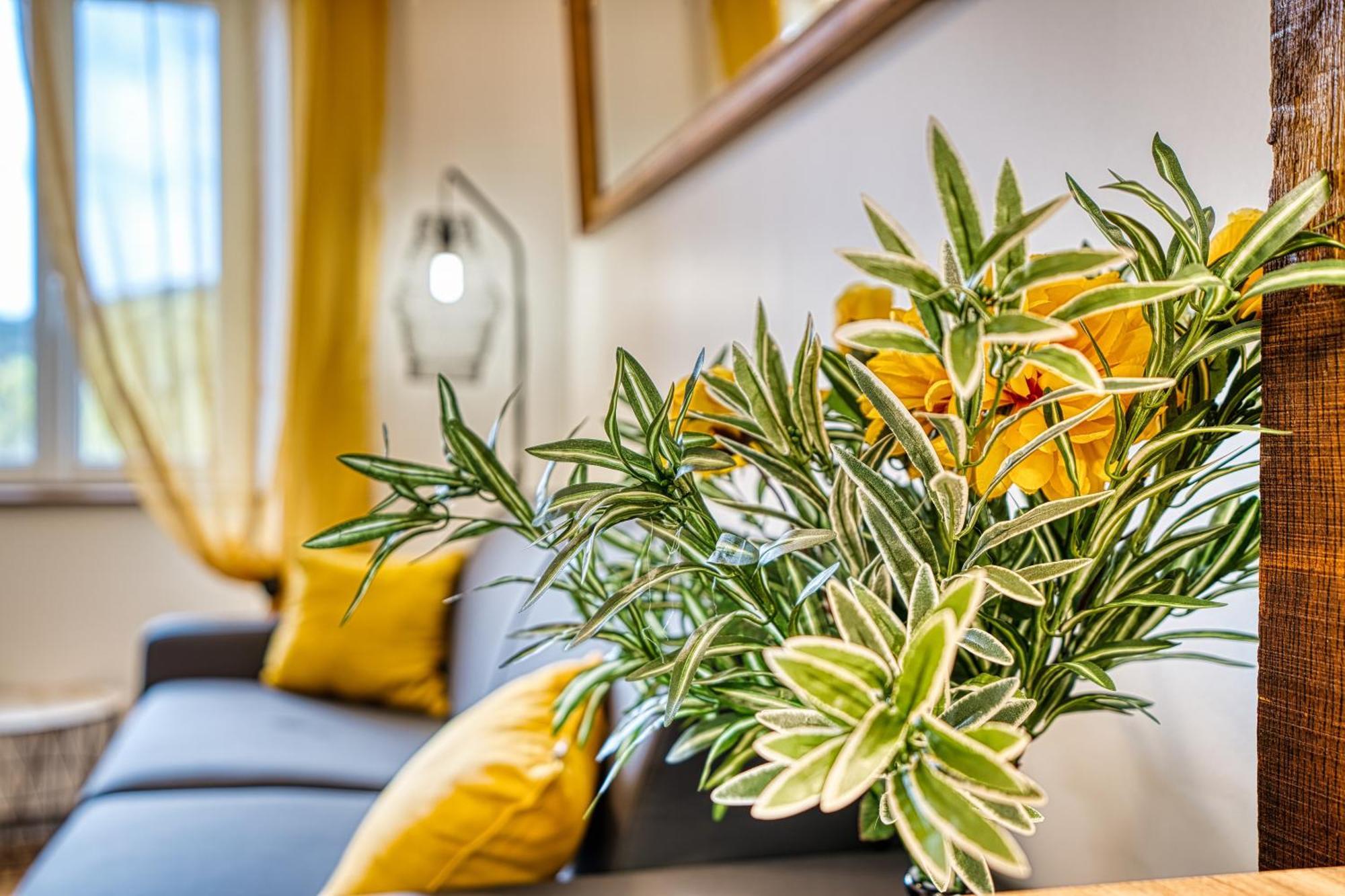 Les Hourtous Netflix Wi-Fi Fibre Terasse 4 Pers Apartment Banassac Ngoại thất bức ảnh